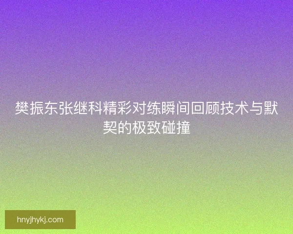 樊振东张继科精彩对练瞬间回顾技术与默契的极致碰撞
