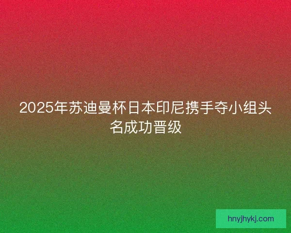 2025年苏迪曼杯日本印尼携手夺小组头名成功晋级