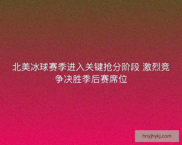 北美冰球赛季进入关键抢分阶段 激烈竞争决胜季后赛席位