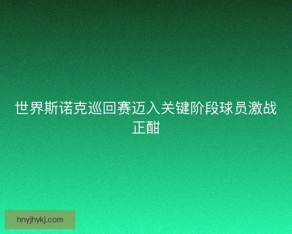 世界斯诺克巡回赛迈入关键阶段球员激战正酣