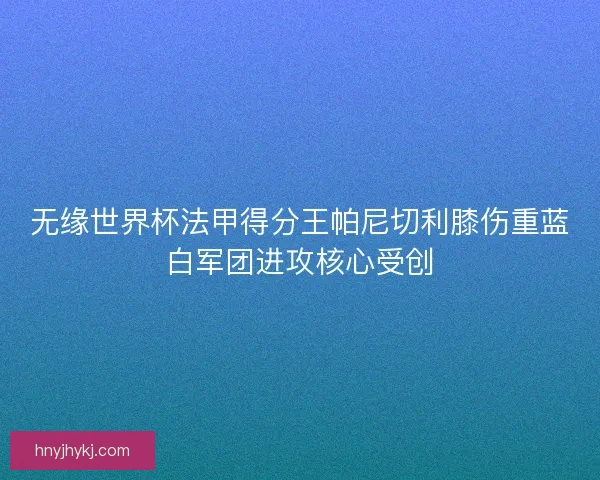 无缘世界杯法甲得分王帕尼切利膝伤重蓝白军团进攻核心受创